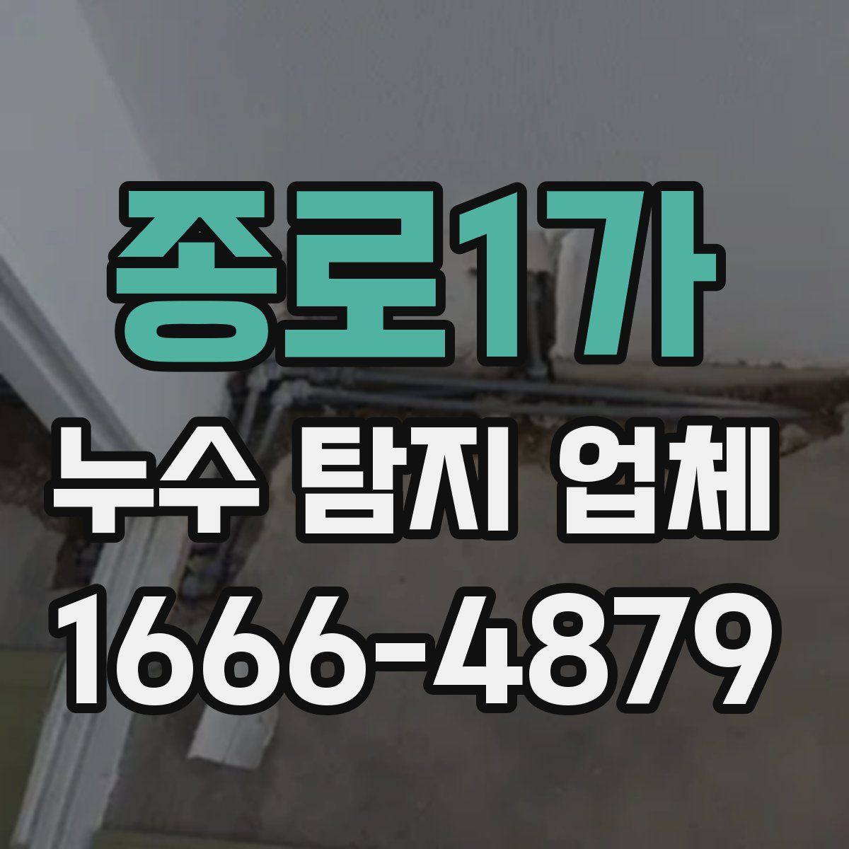 종로1가 누수 탐지 업체