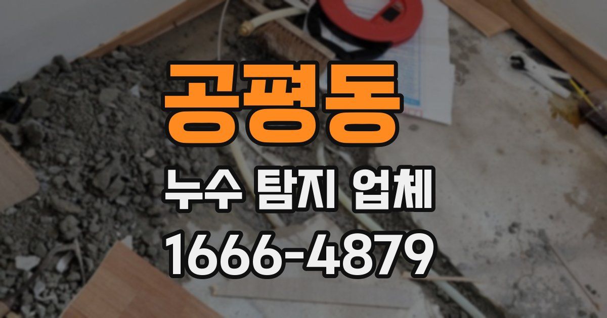 공평동 누수 탐지 업체