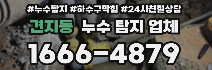 견지동 누수 탐지 업체