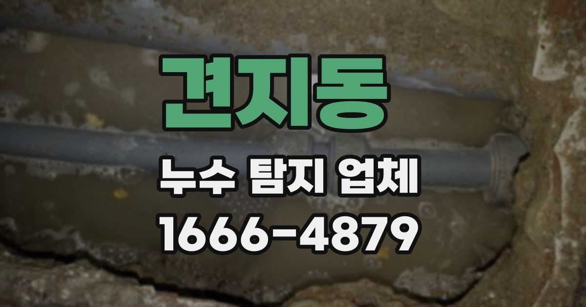견지동 누수 탐지 업체