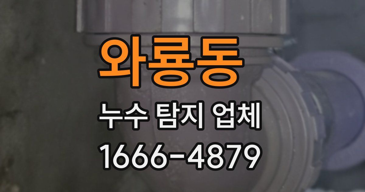 와룡동 누수 탐지 업체