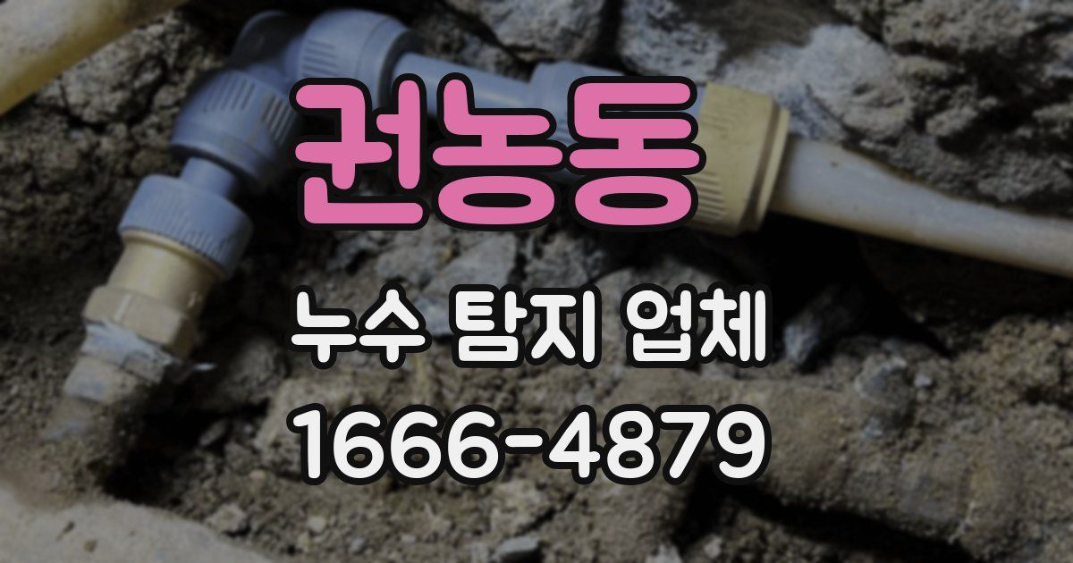 권농동 누수 탐지 업체
