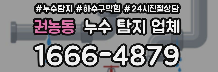 권농동 누수 탐지 업체
