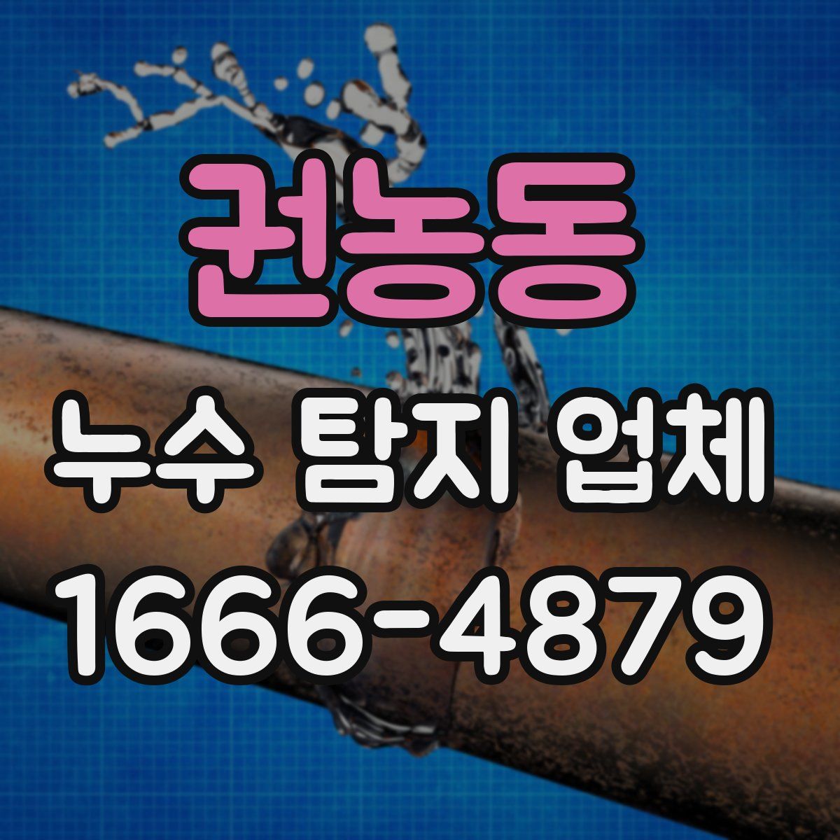 권농동 누수 탐지 업체