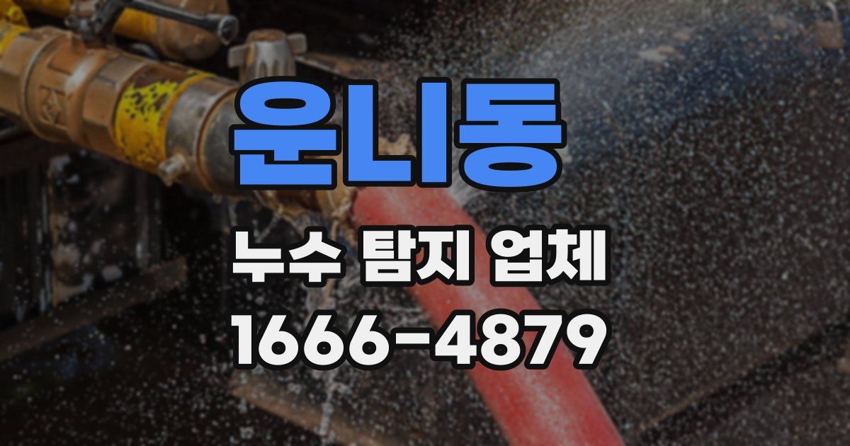 운니동 누수 탐지 업체