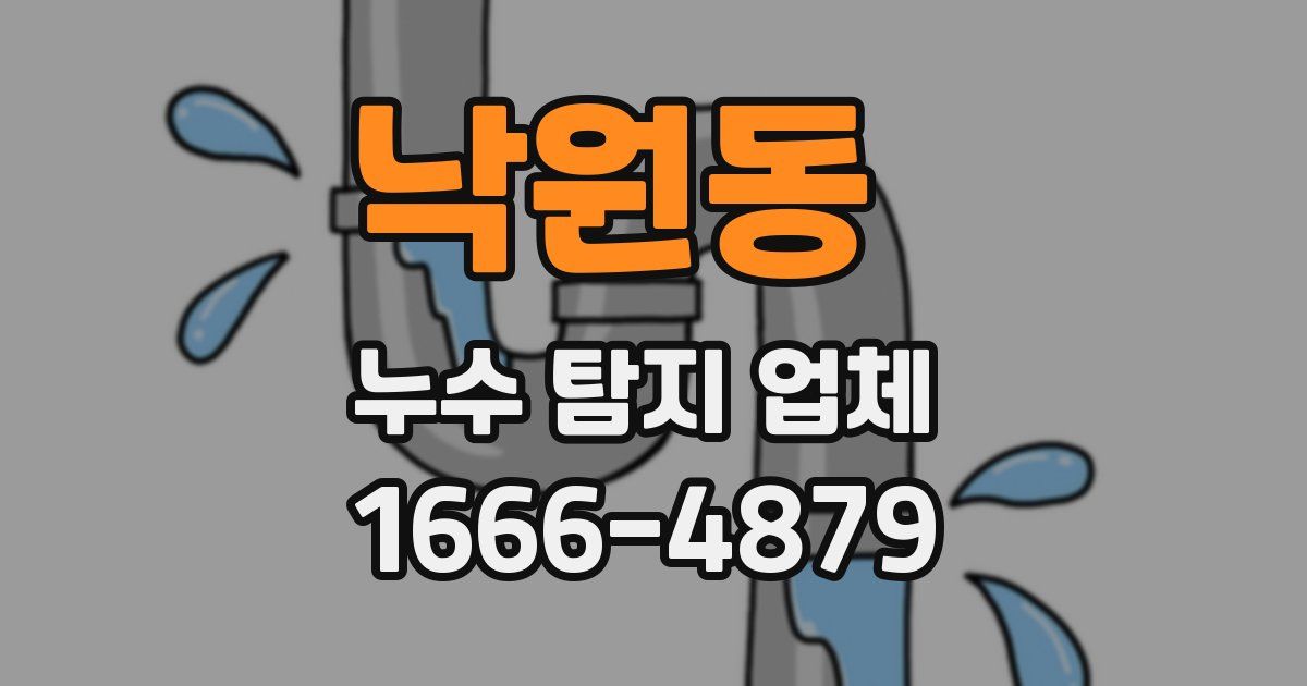 낙원동 누수 탐지 업체