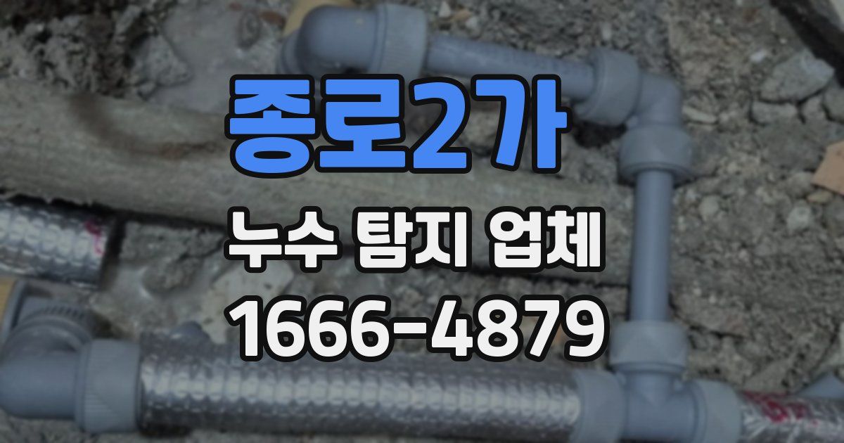종로2가 누수 탐지 업체