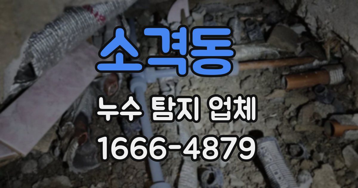소격동 누수 탐지 업체