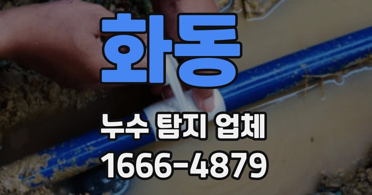 화동 누수 탐지 업체