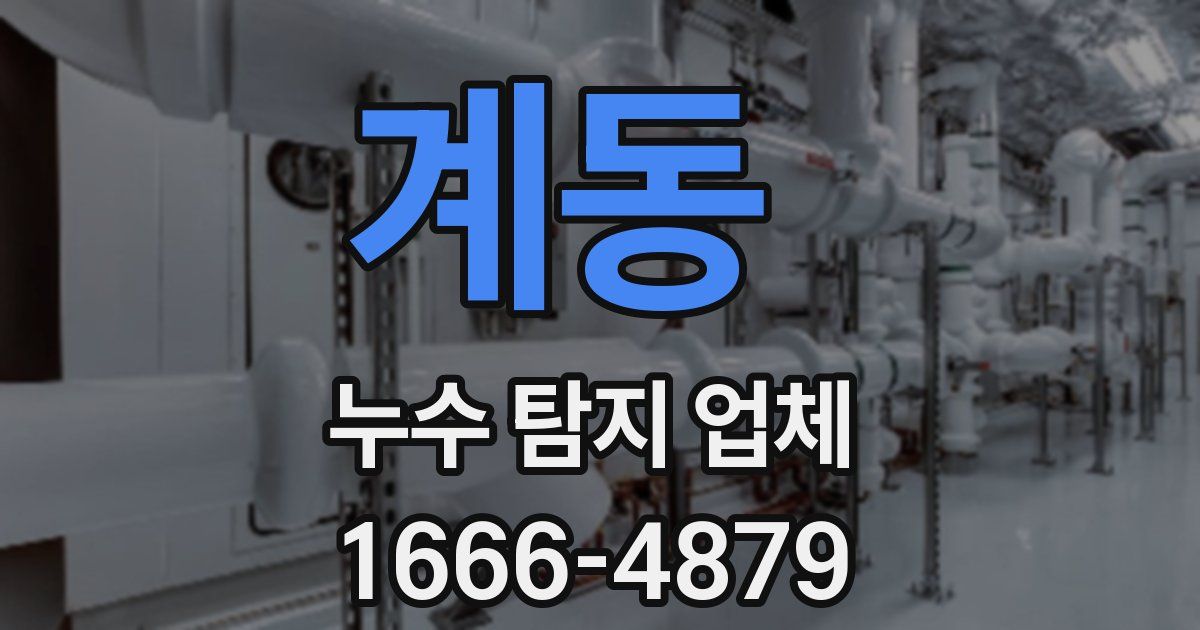 계동 누수 탐지 업체
