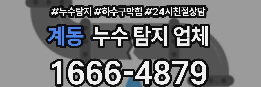 계동 누수 탐지 업체