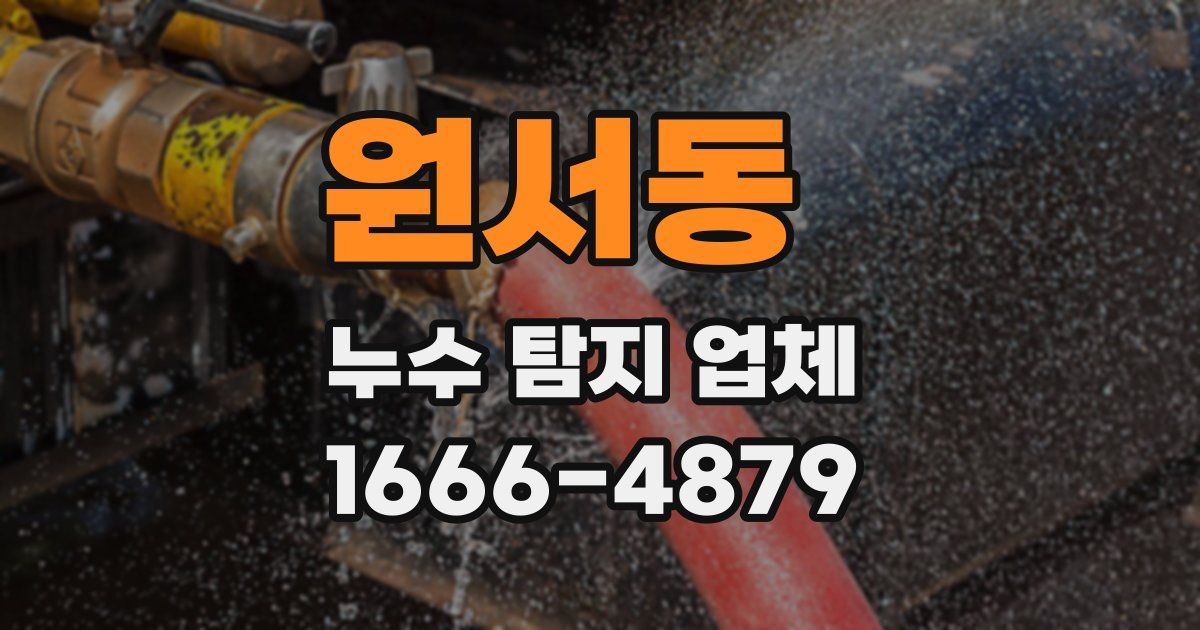 원서동 누수 탐지 업체