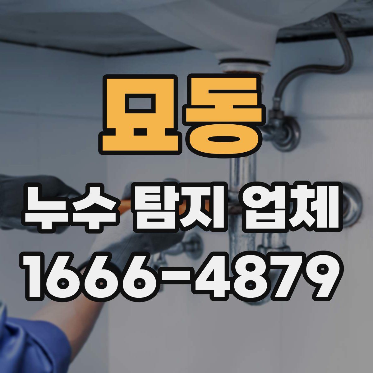 묘동 누수 탐지 업체
