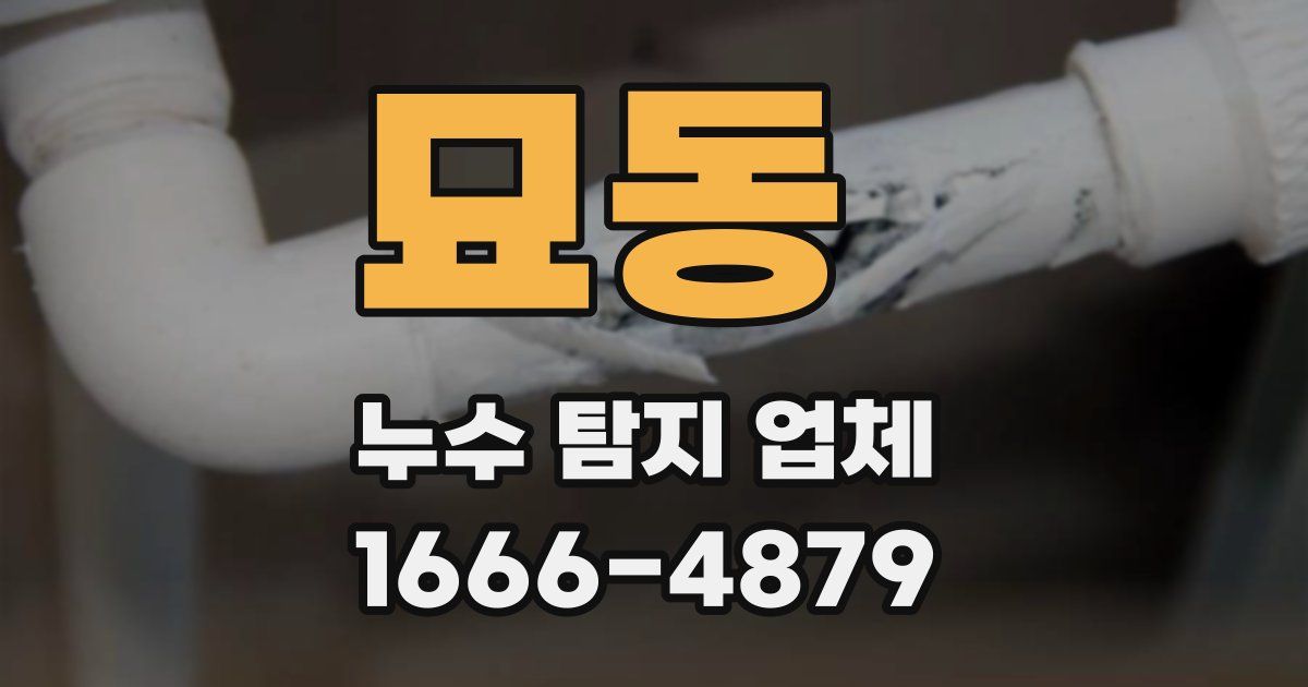 묘동 누수 탐지 업체
