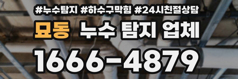 묘동 누수 탐지 업체