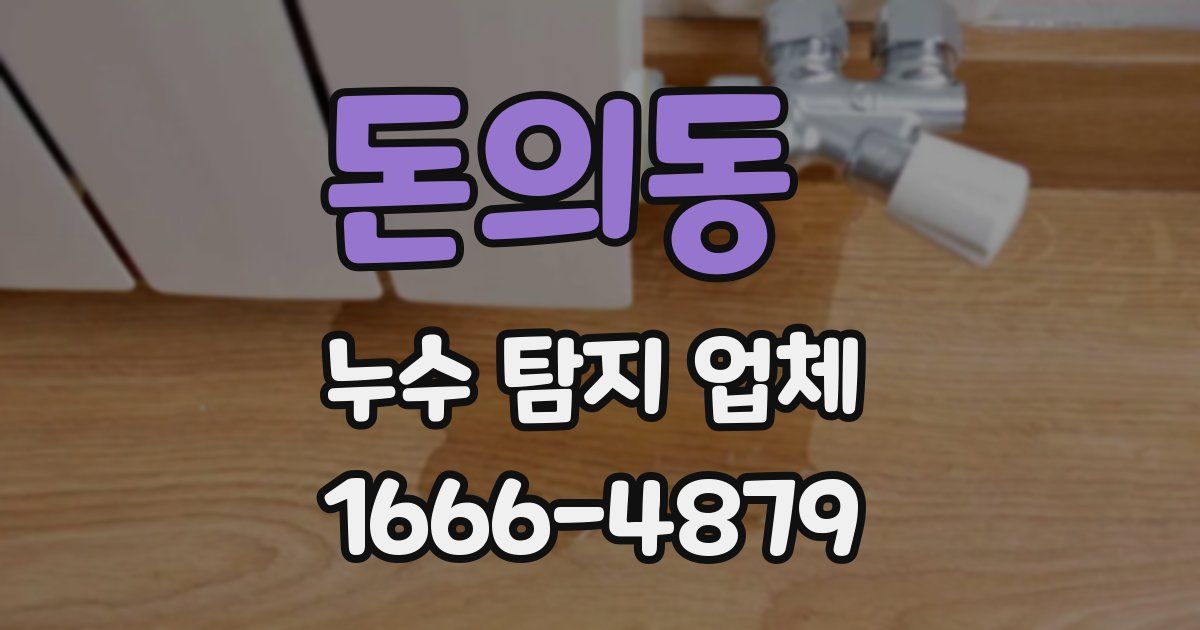 돈의동 누수 탐지 업체