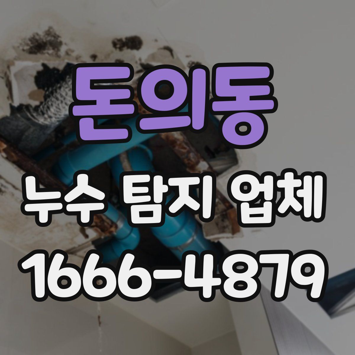 돈의동 누수 탐지 업체