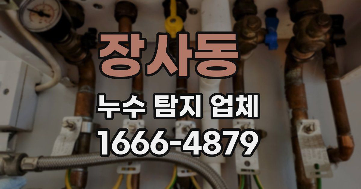 장사동 누수 탐지 업체