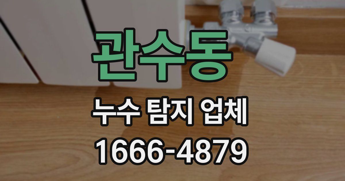 관수동 누수 탐지 업체