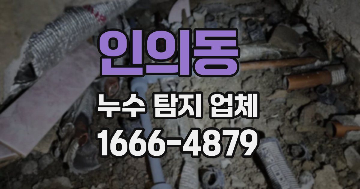 인의동 누수 탐지 업체
