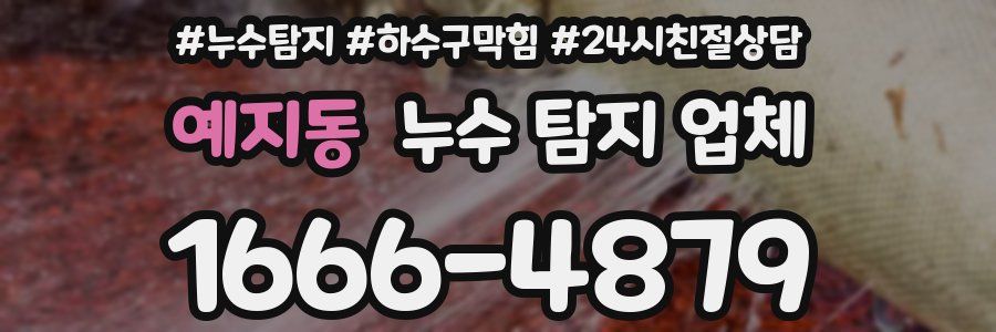 예지동 누수 탐지 업체
