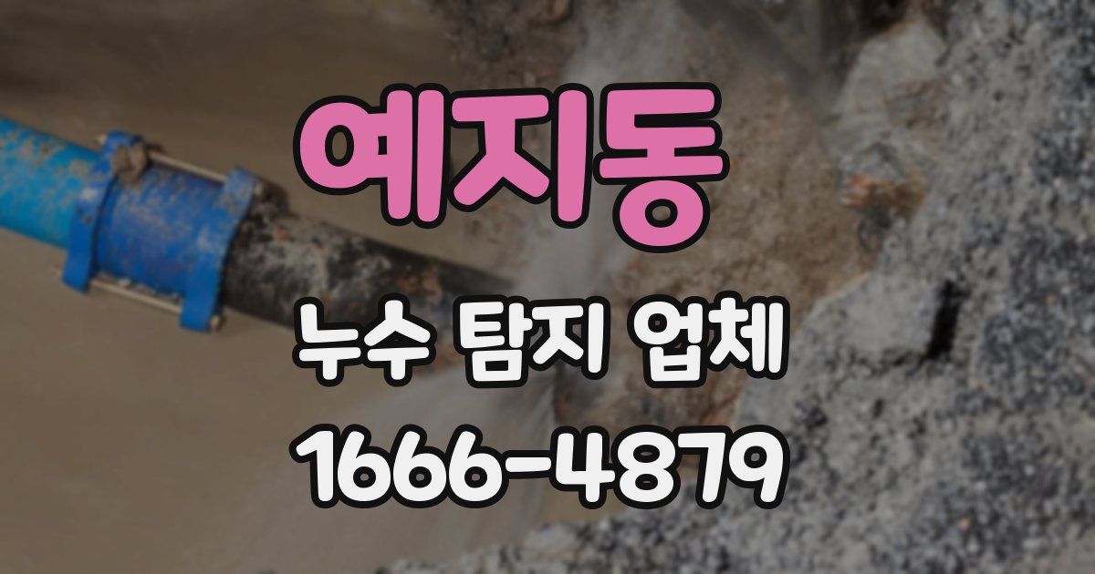 예지동 누수 탐지 업체