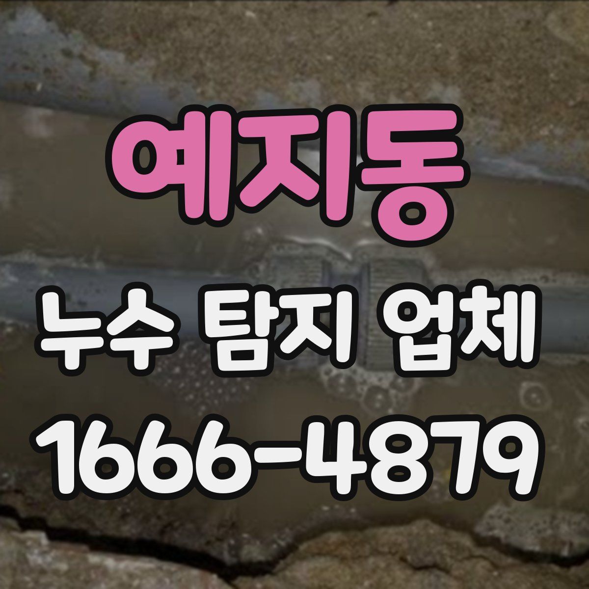 예지동 누수 탐지 업체