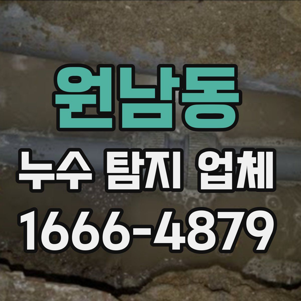 원남동 누수 탐지 업체