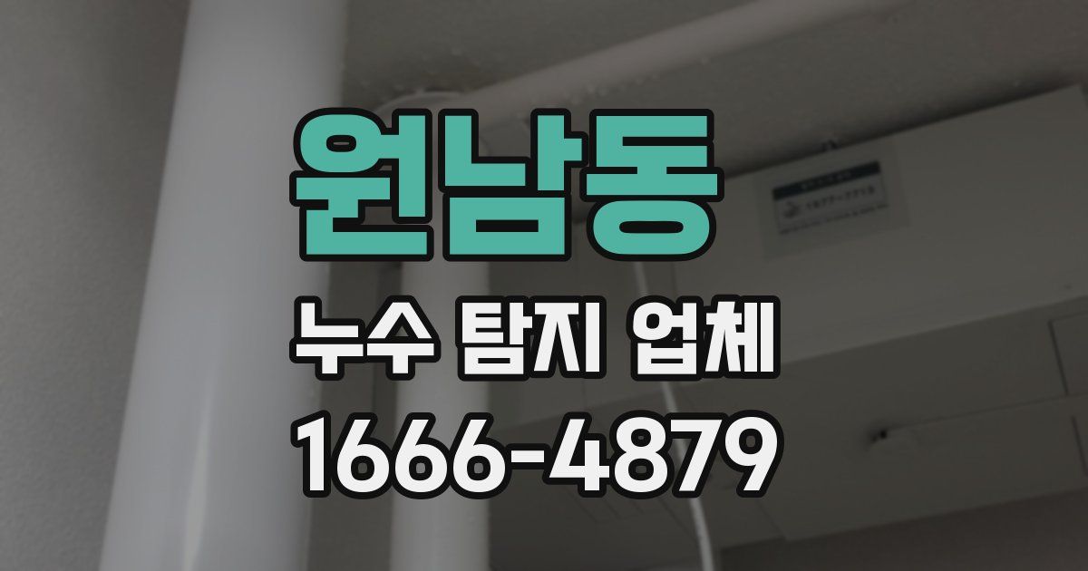 원남동 누수 탐지 업체