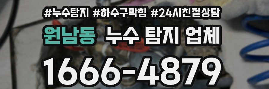 원남동 누수 탐지 업체
