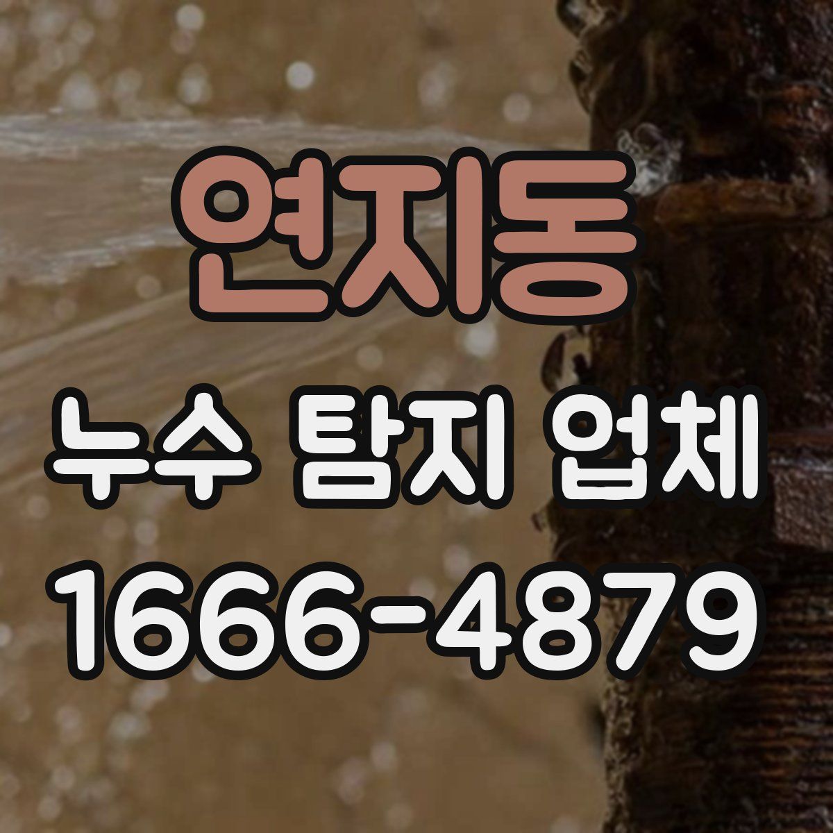 연지동 누수 탐지 업체