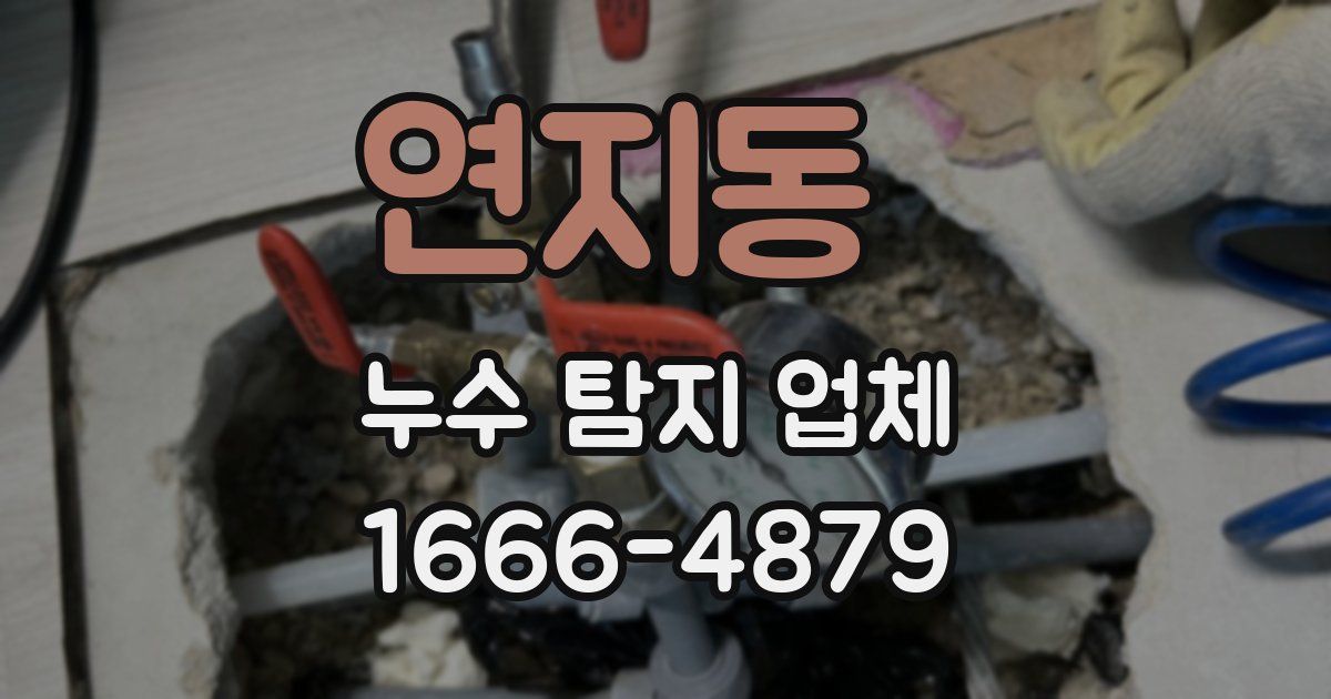 연지동 누수 탐지 업체