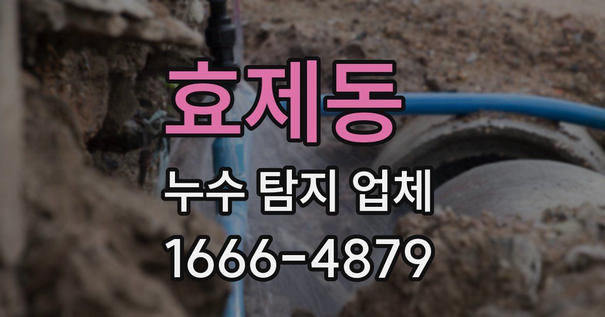 효제동 누수 탐지 업체