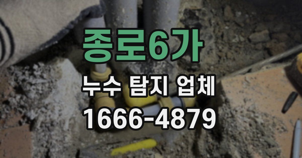 종로6가 누수 탐지 업체