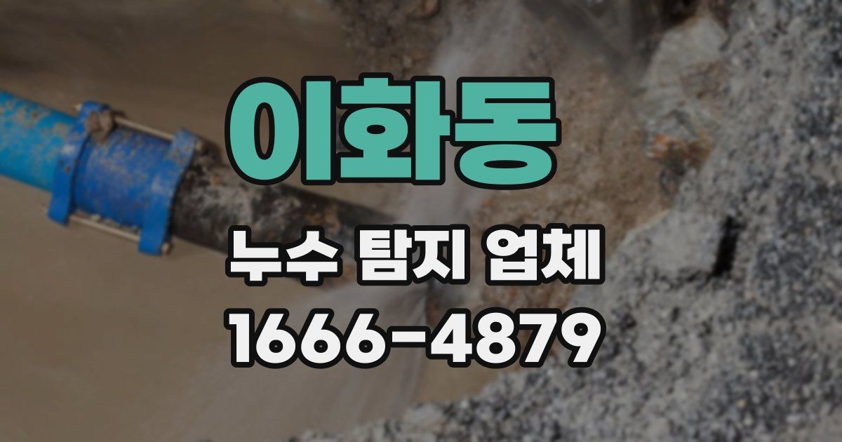 이화동 누수 탐지 업체