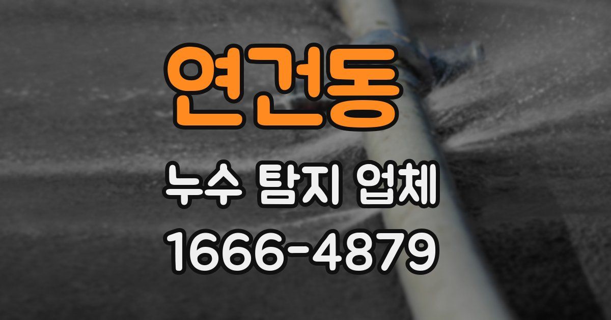 연건동 누수 탐지 업체
