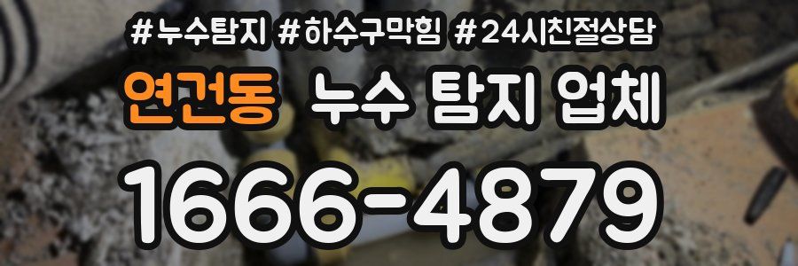 연건동 누수 탐지 업체