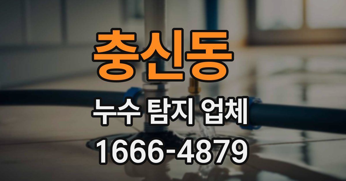 충신동 누수 탐지 업체