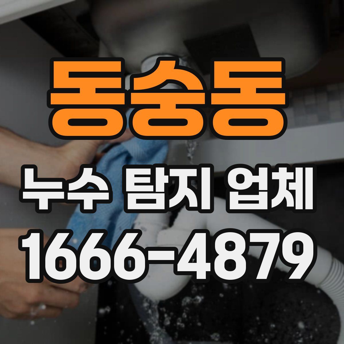 동숭동 누수 탐지 업체