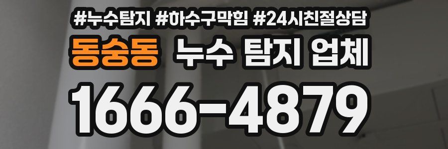 동숭동 누수 탐지 업체