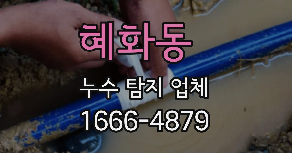 혜화동 누수 탐지 업체