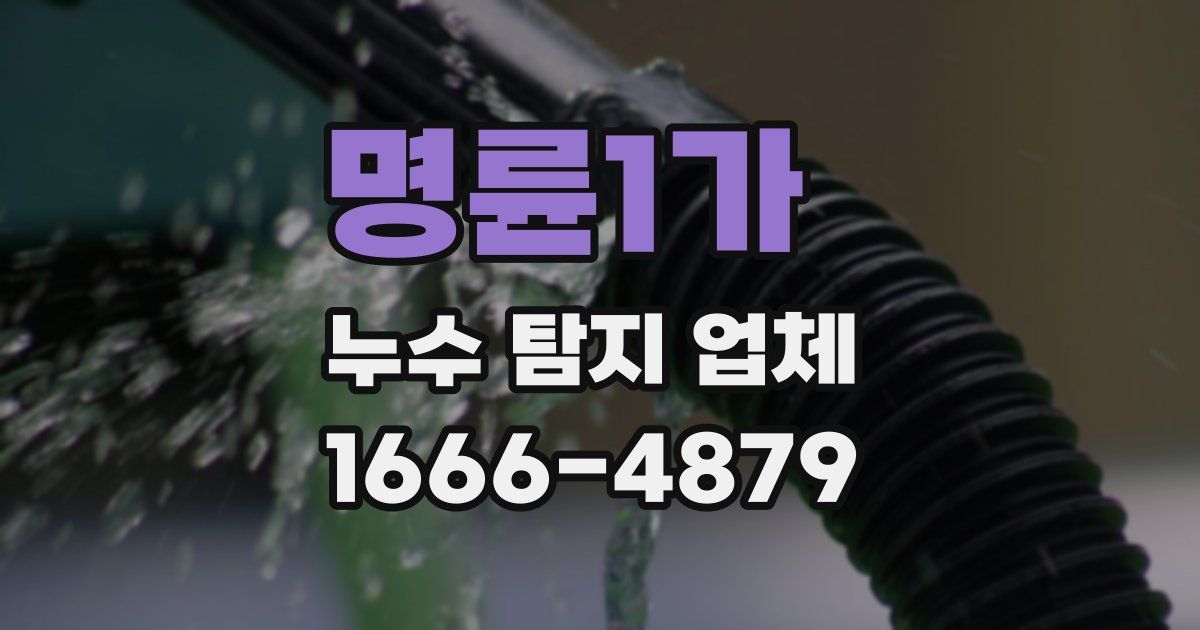 명륜1가 누수 탐지 업체