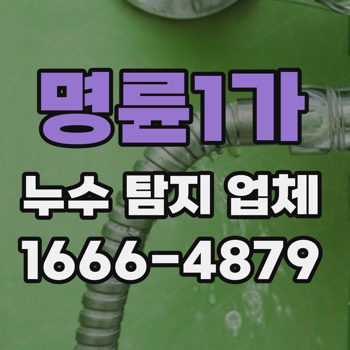 명륜1가 누수 탐지 업체