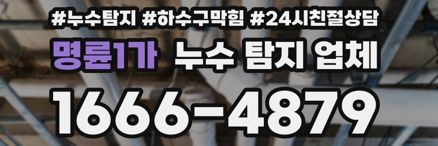 명륜1가 누수 탐지 업체