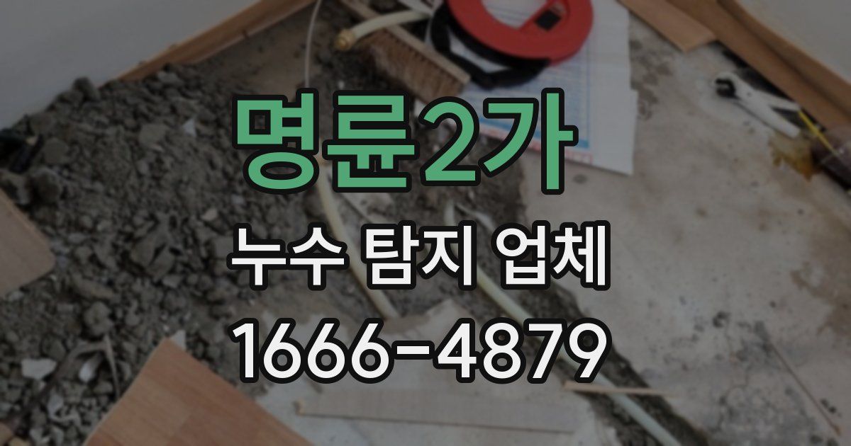 명륜2가 누수 탐지 업체