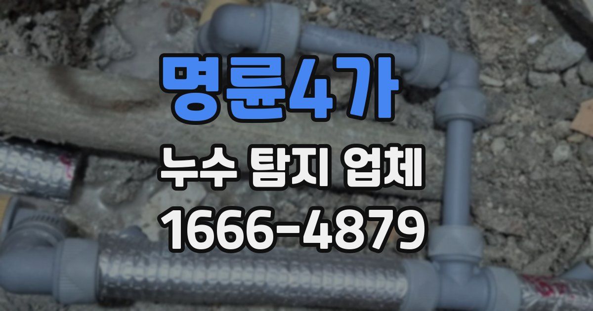명륜4가 누수 탐지 업체