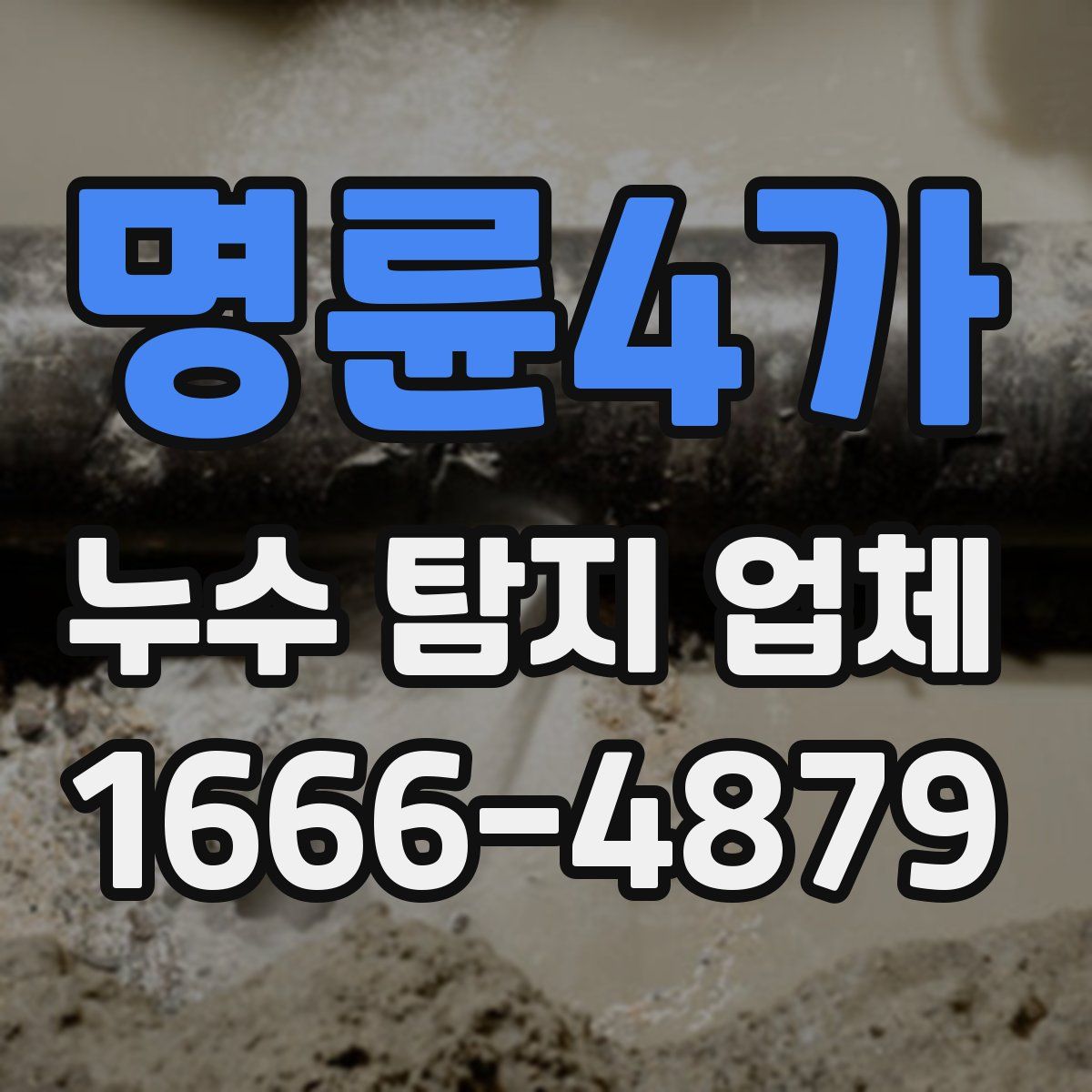 명륜4가 누수 탐지 업체
