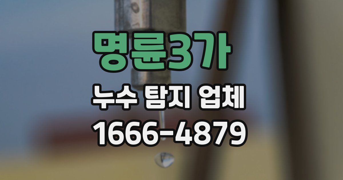 명륜3가 누수 탐지 업체