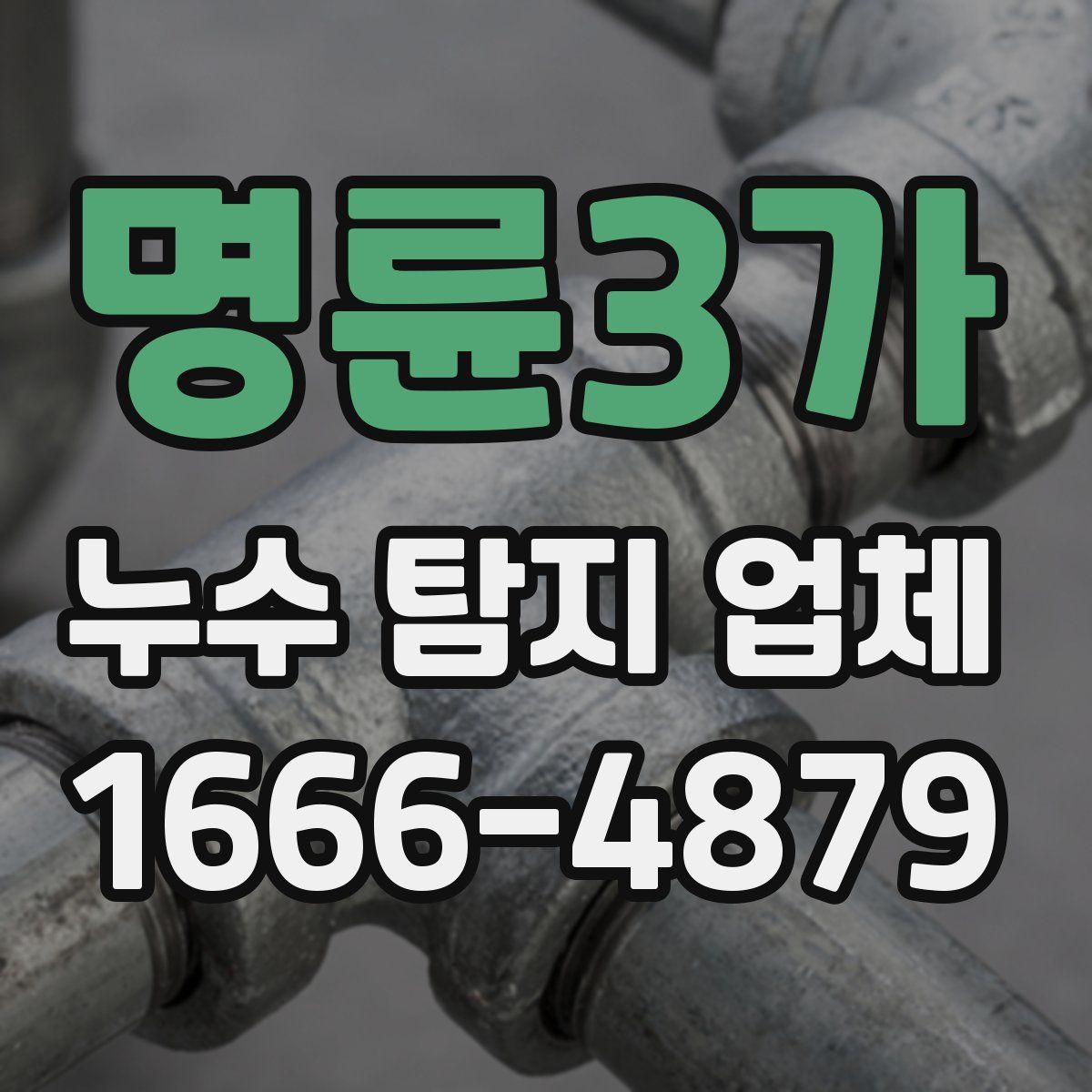 명륜3가 누수 탐지 업체