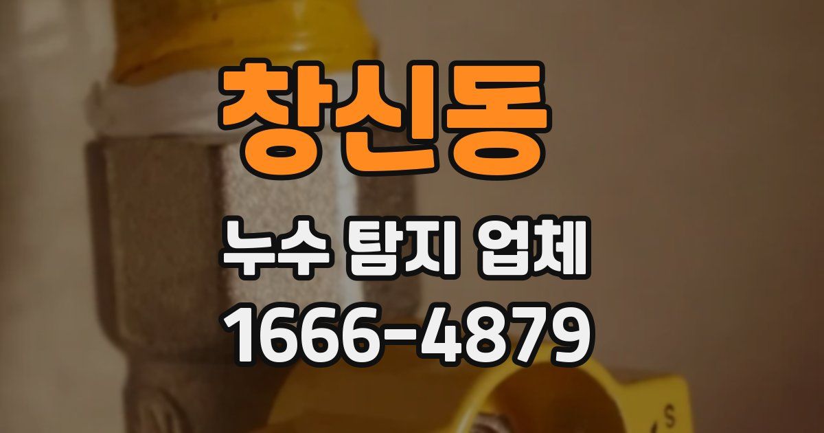 창신동 누수 탐지 업체